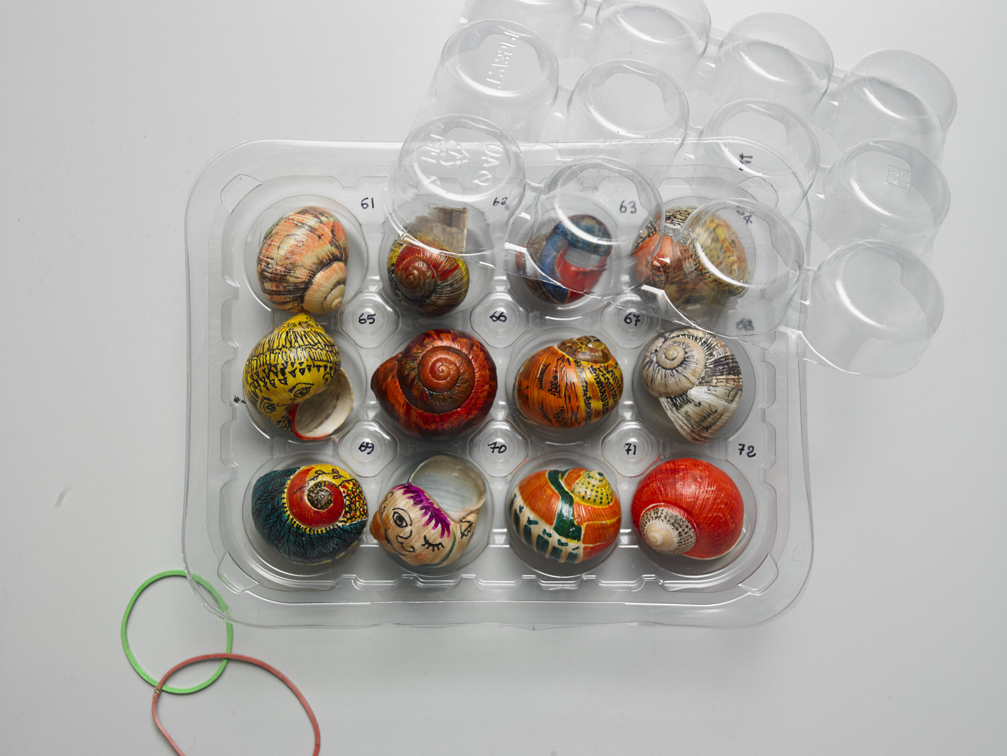 Dalla collezione di chiocciole